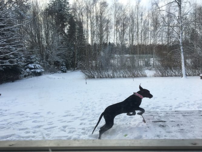 Tyyl-sää!